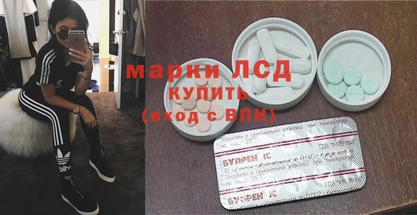 индика Инта