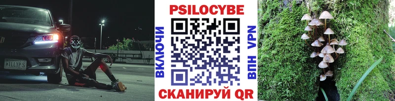 Галлюциногенные грибы MAGIC MUSHROOMS Буйнакск
