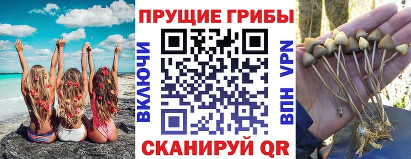 Галлюциногенные грибы мицелий  даркнет сайт  blacksprut ссылка  Буйнакск 